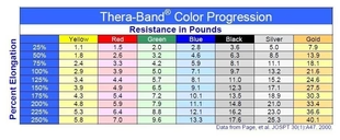Thera band Resistance Band Glutes & Full Body Training Band